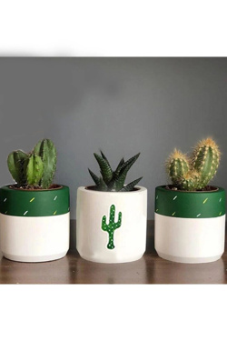 Karpier Home  Household