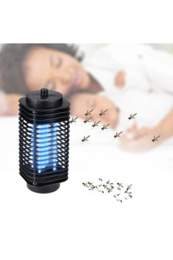 Karpier Home  Household